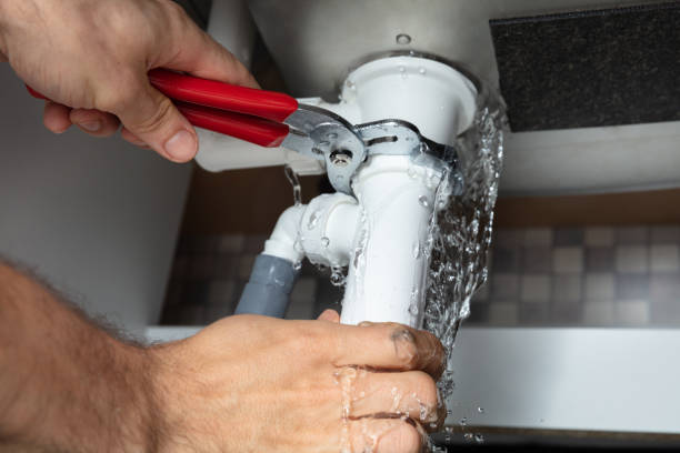 Best Mold removal after water damage  in Eagle Point, AL