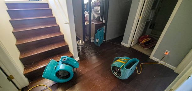 Best Commercial water damage restoration  in Eagle Point, AL