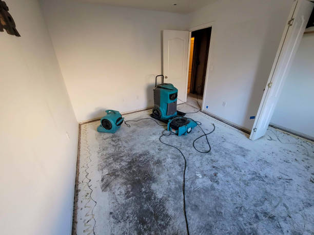 Best Sewage cleanup and water damage restoration  in Eagle Point, AL