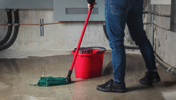 Best Residential water damage restoration  in Eagle Point, AL
