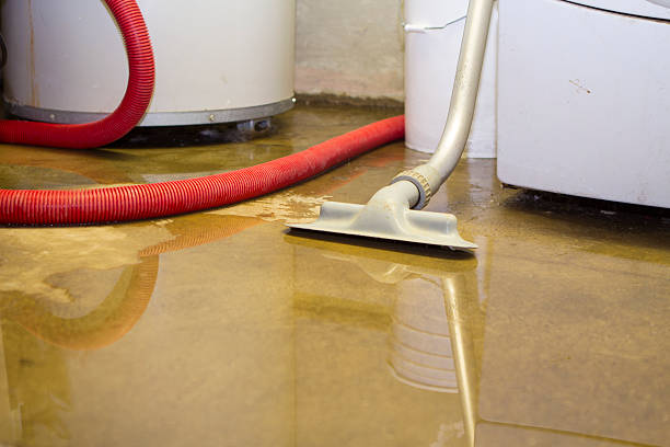 Best Water damage restoration near me  in Eagle Point, AL