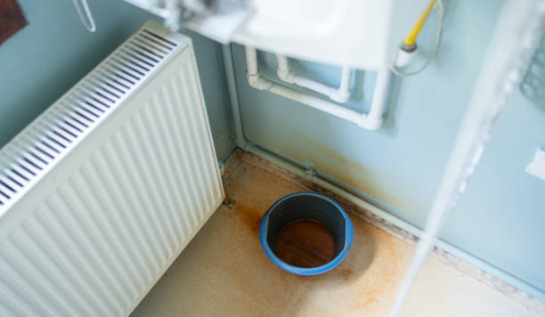 Best Professional water damage repair  in Eagle Point, AL