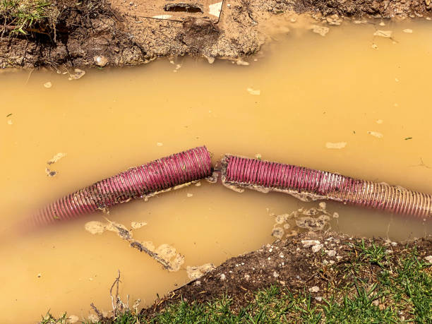 Best Flood damage cleanup  in Eagle Point, AL