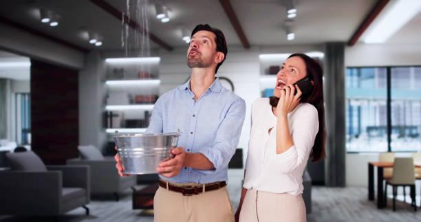 Best Water damage contractors near me  in Eagle Point, AL